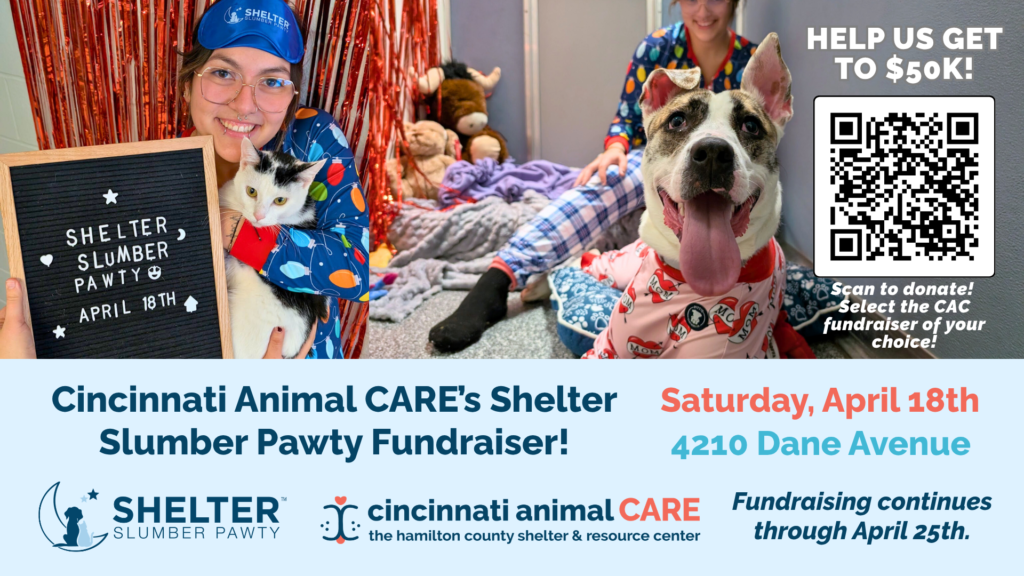 event cover photo for shelter slumber pawty at cincinnati animal care on april 18 2026