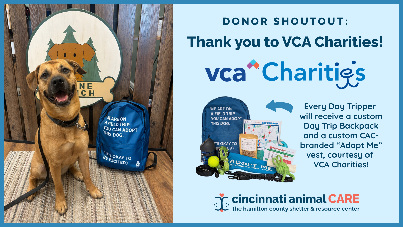 smiling dog next to blue backpack donated by vca charities for cincinnati animal care day trip program
