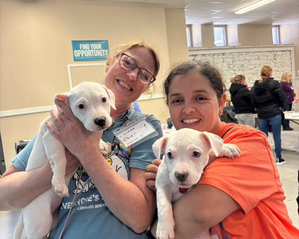 two volunteers hold matching white puppies at community vaccine clinic