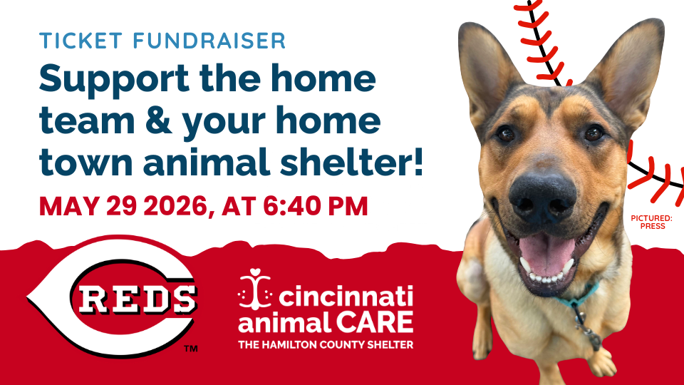 cincinnati animale care ticket fundraiser event graphic featuring adoptable german shepard looking dog