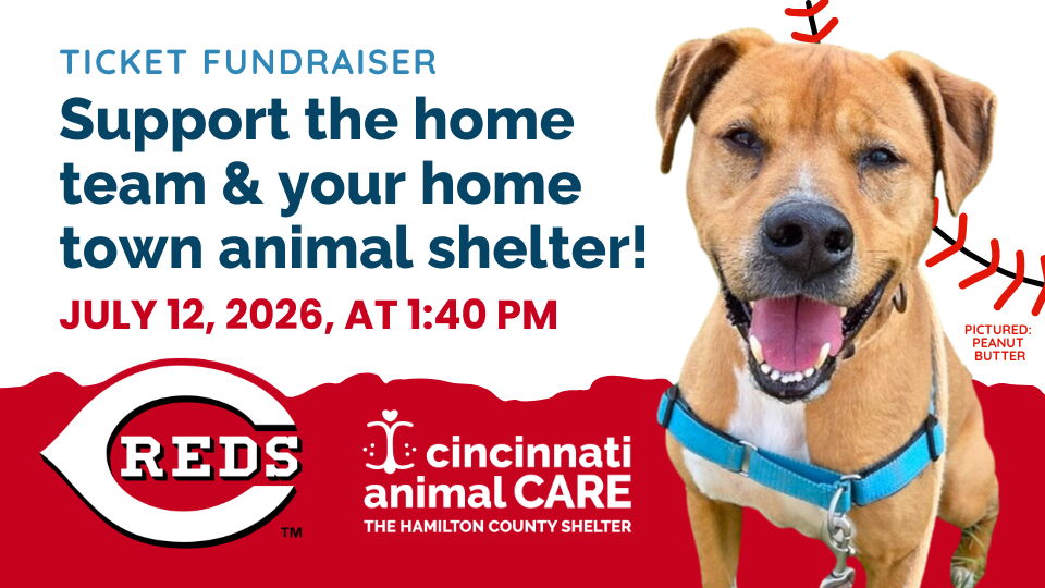 cincinnati animale care ticket fundraiser event graphic featuring adoptable german tan and white dog