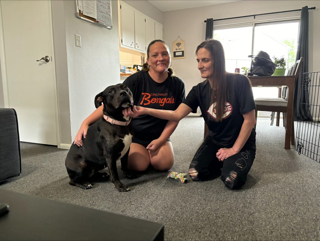 foster dog piglett at sunstone recovery cincinnati