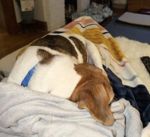 ms mam snuggling in foster care