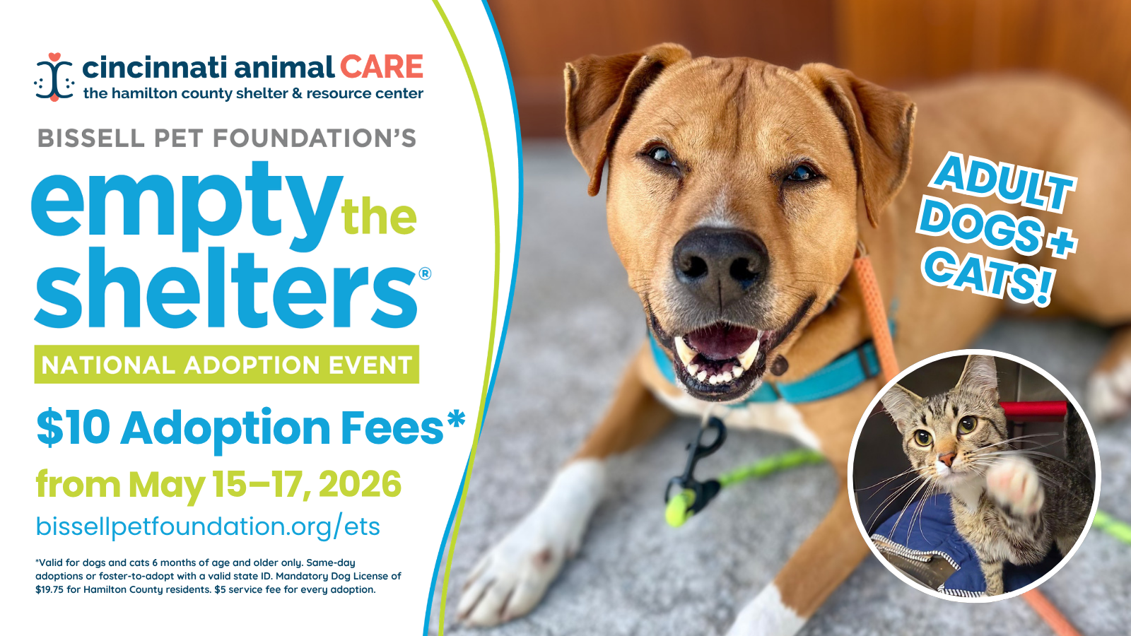 shelter dog and cat on event graphic for BISSEL empty the shelter reduced fee promotion