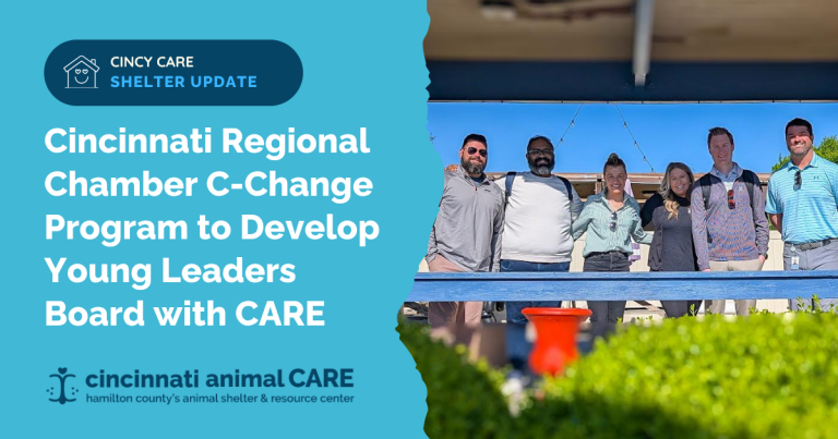 cincinnati regional chamber c-change program with cincinnati animal care