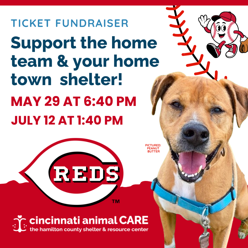 cincinnati animale care ticket fundraiser event graphic featuring adoptable german tan and white dog
