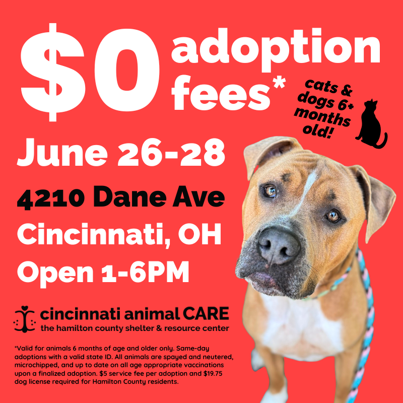 $0 Adoption Promo Pop-Up Square Social Graphic