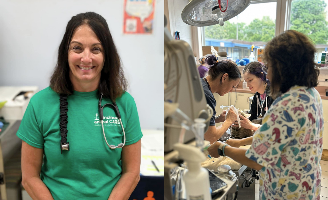 Dr. Meyer veterinarian at cincinnati animal care