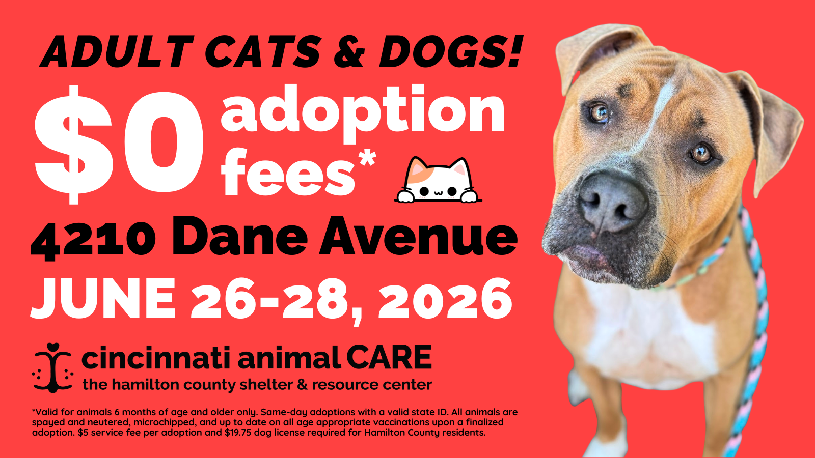 june 2026 waived fee adoption promotion event graphic