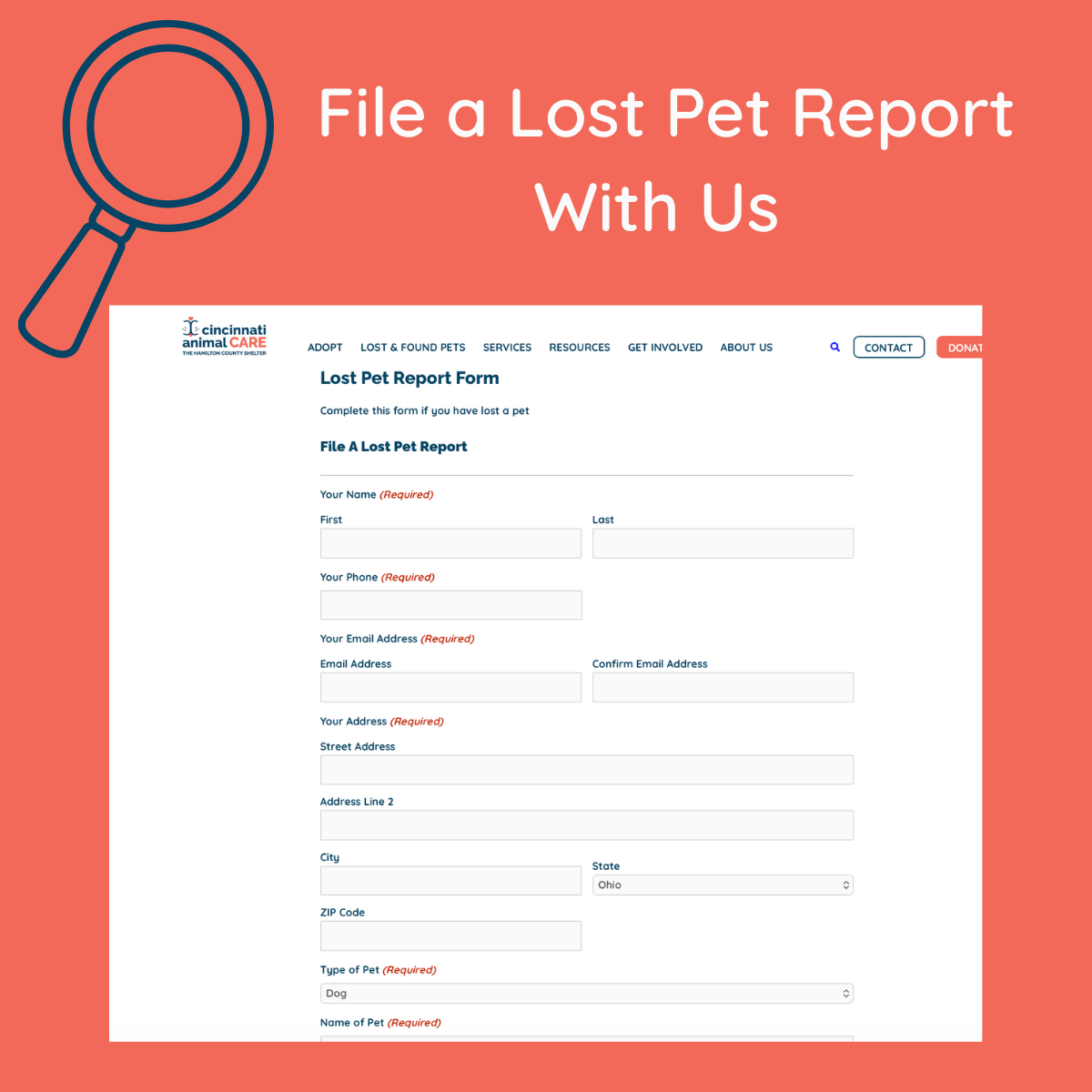 File a Lost Pet Report With Us