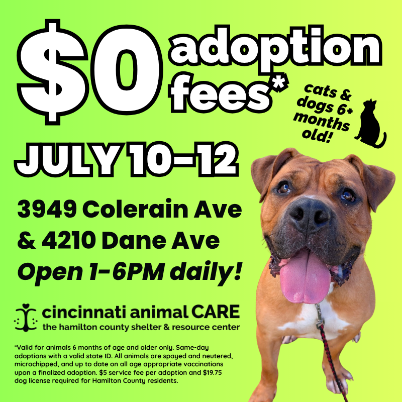 $0 Adoption Promo Pop-Up Square Social Graphic