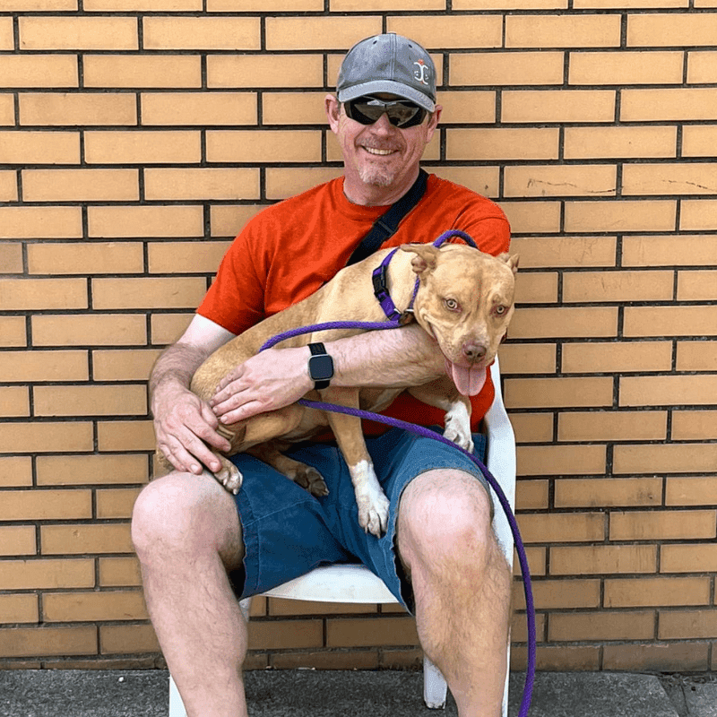 greg haskett cincinnati animal care board president