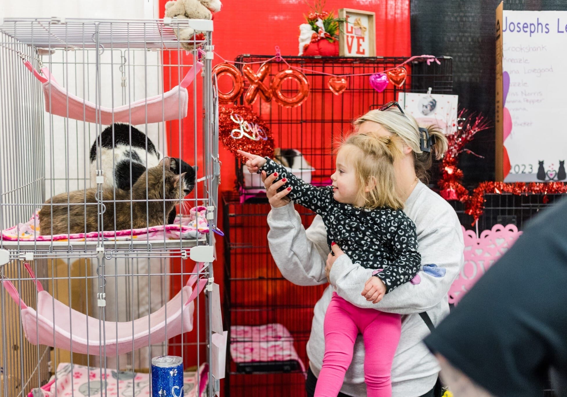 my furry valentine 2025