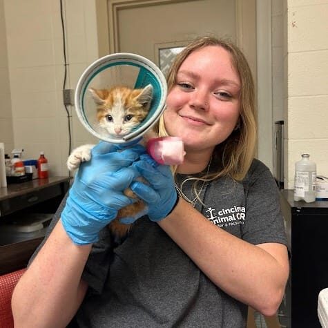 444923884_801784025380004_7723359042206774264_n (1)