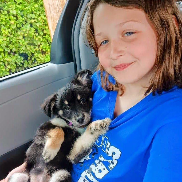 sara bordicks testimonial foster child holding a foster puppy