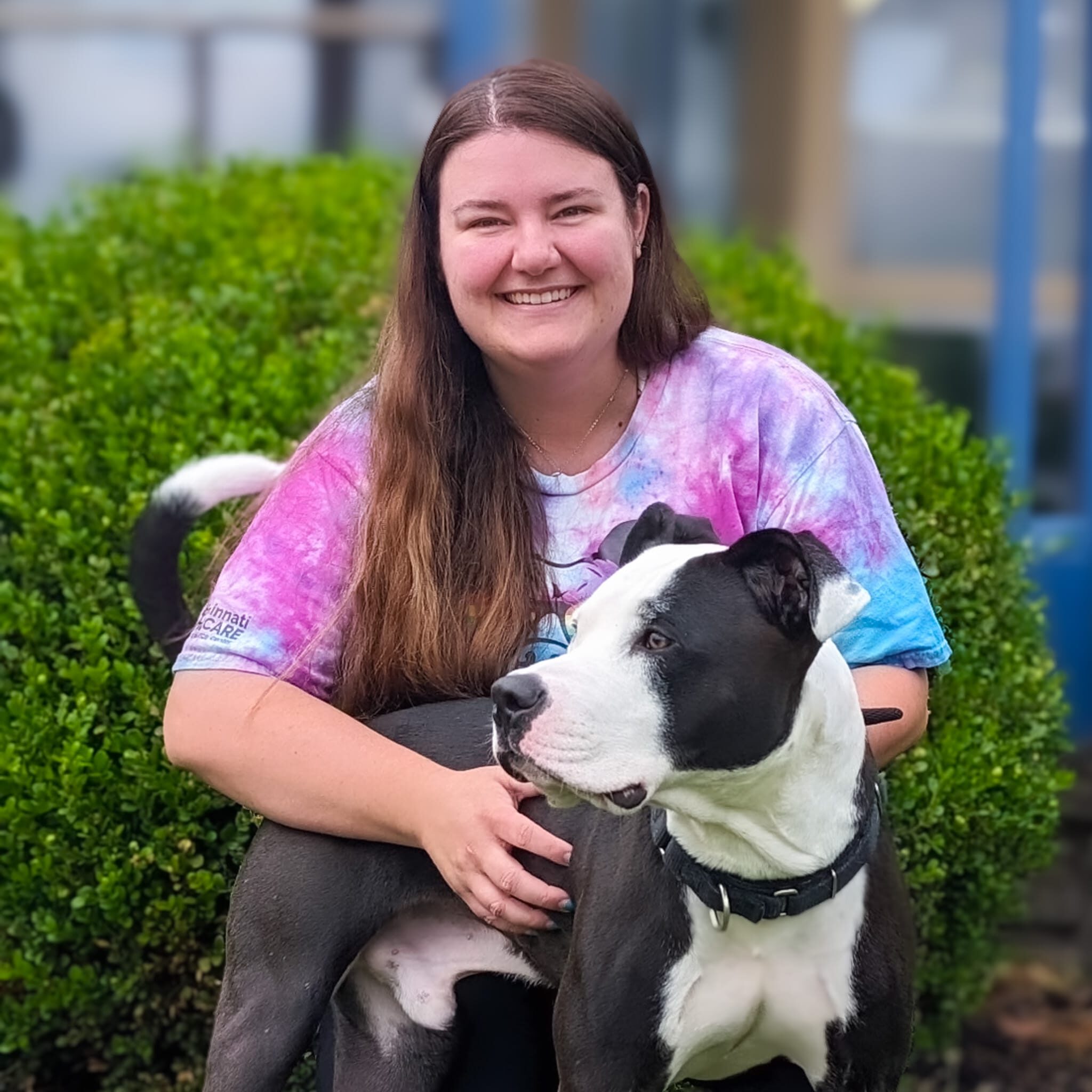 sydney harlow outcomes manager cincinnati animal care