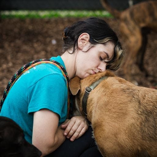 shelter worker snuggles dog in shelter play group