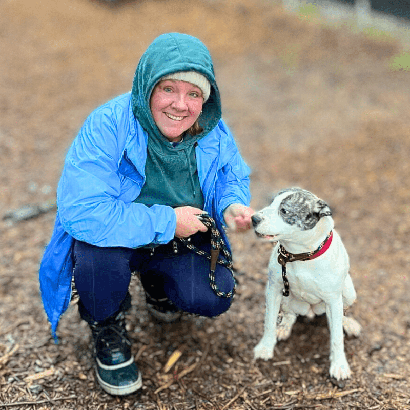 dog care volunteer