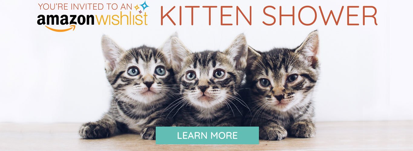 Kitten Shower Wishlist Graphic