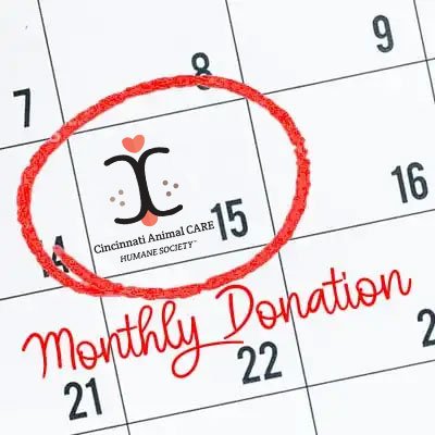 monthly-donation-cincinnati
