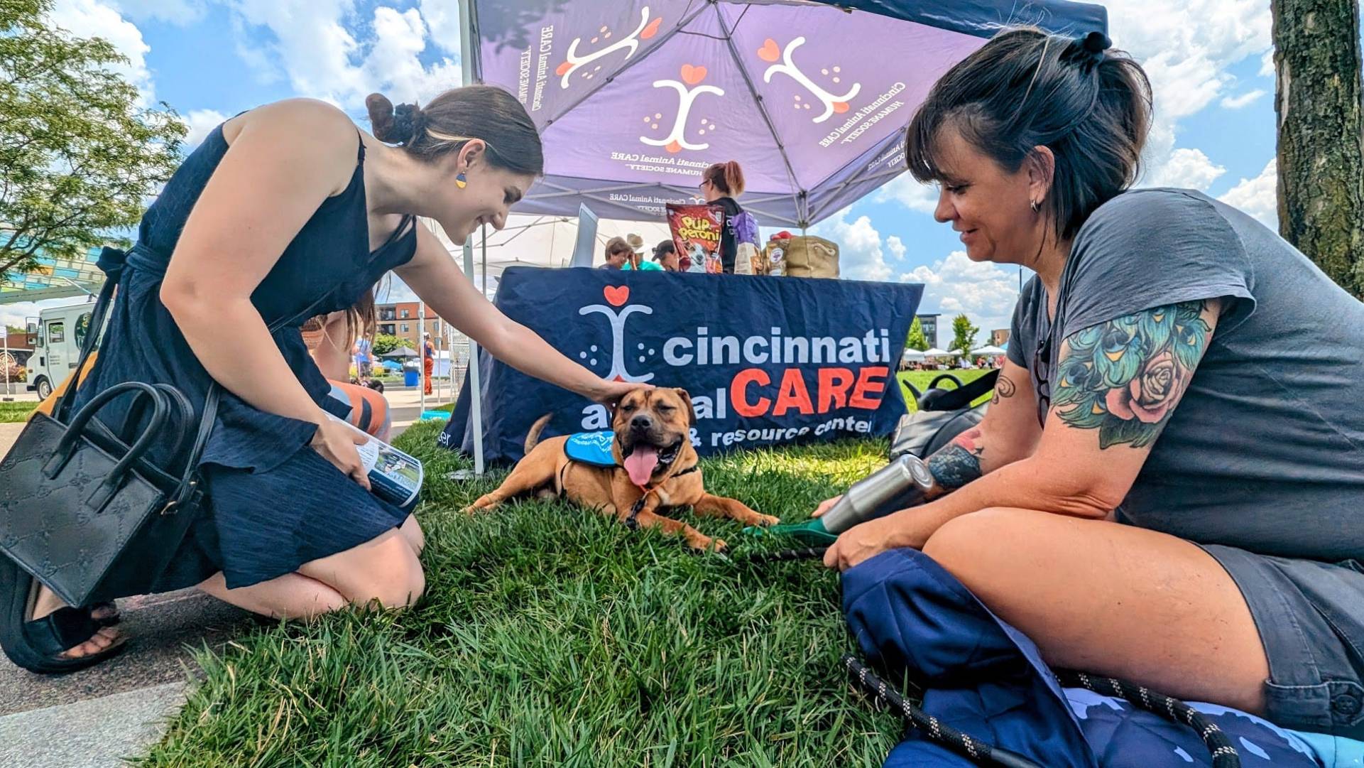 pet adoption